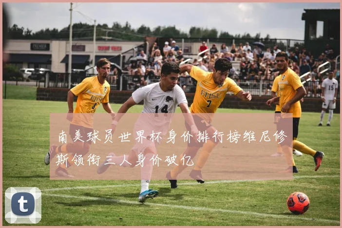 南美球员世界杯身价排行榜维尼修斯领衔三人身价破亿