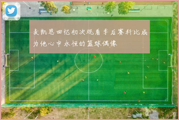 麦凯恩回忆初次观看季后赛科比成为他心中永恒的篮球偶像