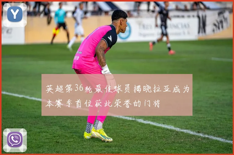 英超第36轮最佳球员揭晓拉亚成为本赛季首位获此荣誉的门将